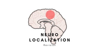 Neurology  Localizing a lesion neurolocalization Stroke  MS  Palsy  Motor neurons [upl. by De Witt866]