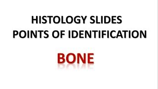 Bone Histology  Points of Identification [upl. by Lemahs]