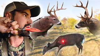 Bowhunting Cold Front Magic  7 Deer Down [upl. by Mathe]