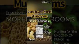 How To Deep Fry Morel Mushrooms 🍄‍🟫 morelmushrooms [upl. by Salamone]