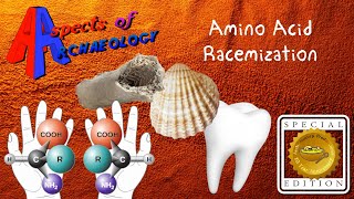 What is Amino Acid Racemization  Dating Technique Aspects of Archaeology Special Edition [upl. by Aikas]