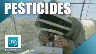 Les pesticides tueurs dabeilles  Archive INA [upl. by Baxy]