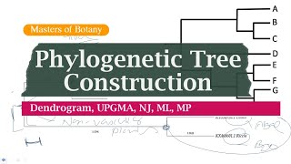 Bioinformatics  Phylogenetic Tree Construction  Dendrogram  MEGA NCBI UPGMA NJ ML MP [upl. by Eenhpad]