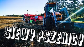 Siewy pszenicy 2023✓ Renault temis 610z amp moskit agromasz✓ GR Mrówczyńscy [upl. by Haceber]