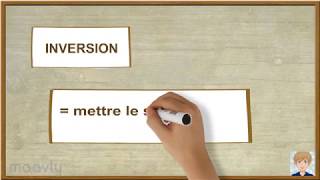 NT2  Apprendre le néerlandais  structure Inversion [upl. by Alam]