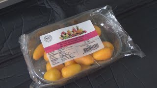 Kumquat Fruits 150 g Unboxing and Test [upl. by Cherian]