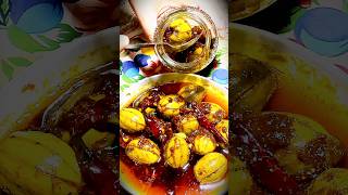 ঝাল টক মিষ্টি জলপাই আচার  jolpai achar  😋🌟 shorts [upl. by Alleoj]