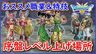 DQ3 HD2D版 これでOK！序盤のレベル上げ解説！おススメパーティ紹介と優秀な特技紹介！序盤の流れも紹介！ドラクエ3リメイク 攻略【メイルス】 [upl. by Reivaxe]