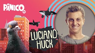 Luciano Huck  PÂNICO  AO VIVO  220420 [upl. by Aseeral636]