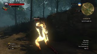 The Witcher 3 Wild Hunt  Foglet Forgot How to Stealth [upl. by Drews647]