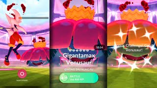 Got Shiny Gigantamax Venusaur In First Try  Max Battle Pokémon Go  2024 Gameplay [upl. by Harmaning]