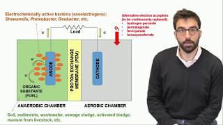 34 Microbial Fuel Cells  Principles [upl. by Sion]