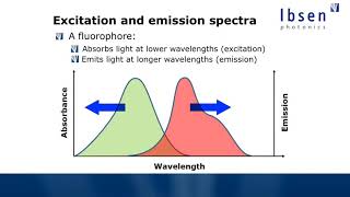 Fluorescence Spectroscopy Tutorial  Basics of Fluorescence [upl. by Safko]