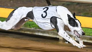 2024 Sportsbet Bendigo Cup Heat 2  Zeus Thunderbolt [upl. by Leiria]