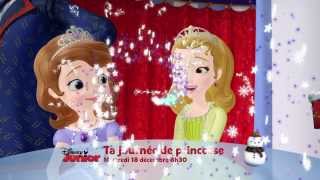 Ta journée de Princesse  Mercredi 18 décembre dès 8h30 sur Disney Junior [upl. by Anika]