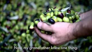 The Story of Frantoio Muraglia Olive Oil [upl. by Dosia950]