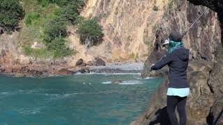 Rock fishing for snapper Coromandel [upl. by Esinert]