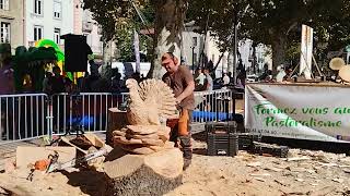 15ème Foire agricole de la Barguillère à Foix Sculpture à la tronçonneuse [upl. by Atnoek]