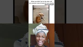 Dog praying reaction mzansicomedy reactionshorts [upl. by Arlyne]