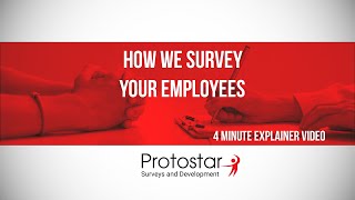 Protostar How We Survey Your Employees [upl. by Onaicnop936]