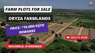 Oryza Farmlands  ☎917669414525  Farm Plots For Sale in Mucherla Hyderabad plotsforsale [upl. by Nehemiah429]