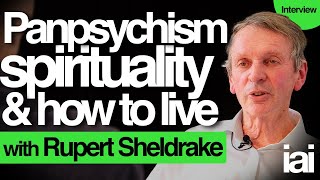 Panpsychism spirituality and consciousness  Rupert Sheldrake [upl. by Naivat]