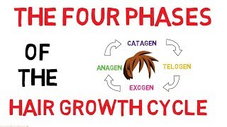 Understanding The Hair Growth Cycle  Adam Explains [upl. by Wesley]