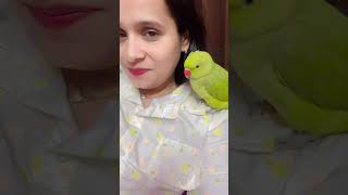 Parrot video 🦜🦜parrotparrot parroting parrottalking shortfeed youtubeshorts talkingparrot [upl. by Black]