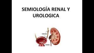 SEMIOLOGIA RENAL Y UROLOGICA PARTE 2 [upl. by Johnathon238]