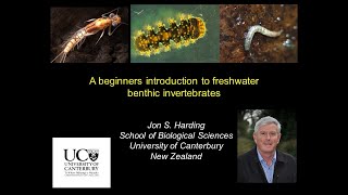 Beginners introduction to benthic invertebrate [upl. by Seldon699]