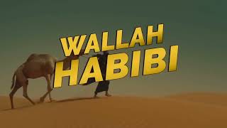 Wallah Habibi New Arabic Song [upl. by Yar317]