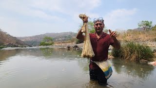 Pesca con trasmallo en el rio torola con Rambito el colmenero [upl. by Nawrocki]