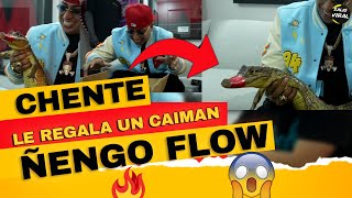 WAO CHENTE sorprende a ÑENGO FLOW🔥 con UN CAIMAN😱👀🔥 [upl. by Morry]