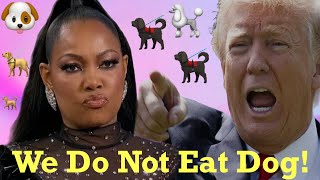 Garcelle Beauvais Speaks Out Amid False Claims About Haitians Immigrants Eating Pets [upl. by Ilowell]