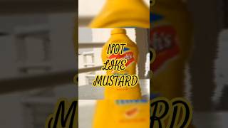 Not Like Mustard  TV off X Not like us mashup [upl. by Kciderf46]