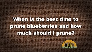 QampA – When should I prune blueberries and how much [upl. by Armstrong]