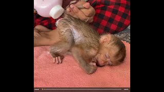 After Bathing Mom Apply Baby Powder To Prevent Itching And Wear Urine Pants To Precious LUNA [upl. by Haakon]