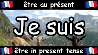 French Conjugation Song  Être  Celtic Music [upl. by Tloc]