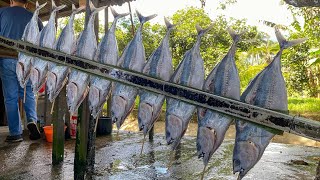 CARA MASAK IKAN BAKAR DENGAN CARA PRAKTIS DIJAMIN ENAK BANGET [upl. by Berkshire783]