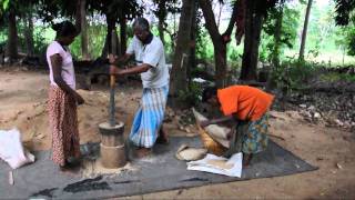 Pounding and Winnowing Rice the traditional way [upl. by Arima]