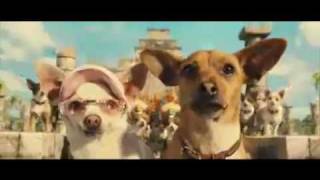 Chihuahua Song Beverly hils chiwawa [upl. by Aletsirc]