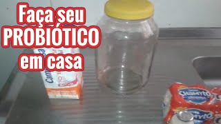 REPARE SUA FLORA INTESTINAL COM PROBIÓTICO CASEIRO  SAÚDE INTESTINAL  Lactobacilos VIVOS [upl. by Dahraf577]