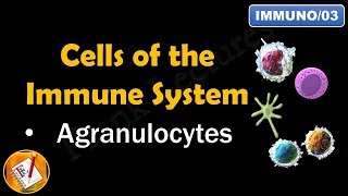 Cells of the Immune System PART II  AGRANULOCYTES FLImmuno03 [upl. by Nujra]