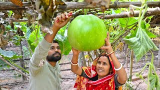 বাগানের 7kg ওজনের হাড়ি লাউ ছিড়ে মায়ের হাতে মুসুর ডাল রান্না সঙ্গে মুলো শাক ভাজা  Lau Daal recipe [upl. by Eanel35]