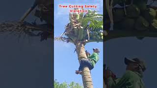 Newbie and chainsaw fails fail construction adamrose comedy [upl. by Forest]