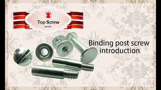 binding post screw amp Chicago screw introduce  Top screw Metal Corp [upl. by Stricklan268]