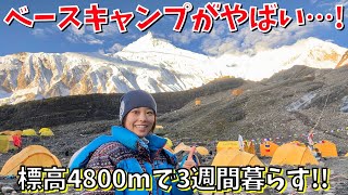 【ヒマラヤ登山】マナスルのベースキャンプとは？毎日起こる雪崩に全身ガクブル…！ [upl. by Aihsotan]