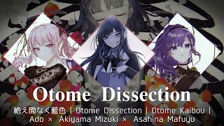 Otome Dissection  乙女解剖  Ado × 25ji Nightcord de mix [upl. by Sitnalta]