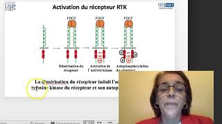 Capsule 8  Voie de signalisation MAPKinase [upl. by Htederem216]