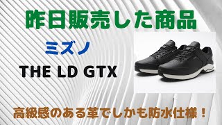 仙台 ミズノ ウォーキングシューズ THE LD GTX 防水 ゴアテックス [upl. by Buatti932]